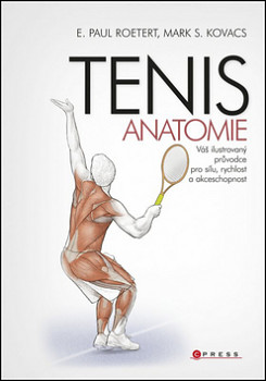 TENIS Anatomie