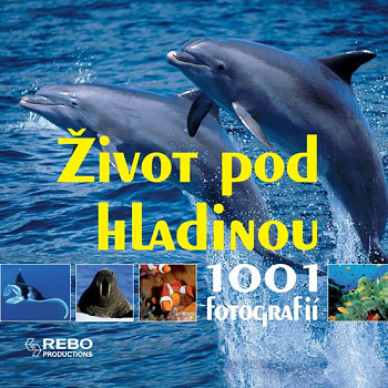 Život pod hladinou - 1001 fotografií 