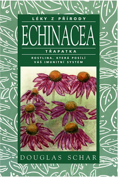 Echinacea - Třapatka