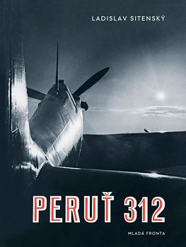 Peruť 312