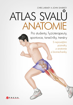 Atlas svalů anatomie